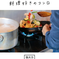 Rinnai Vamo.バーモ オールステンレス/都市ガス