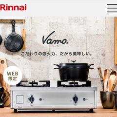 Rinnai Vamo.バーモ オールステンレス/都市ガス