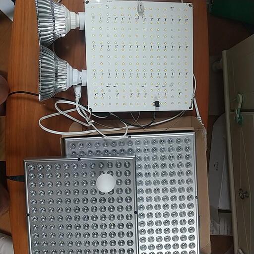 SINJIAlightと含め５個セット。