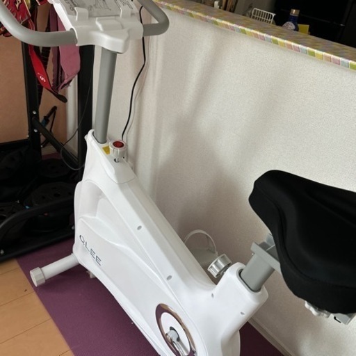 家電 美容家電 ボディケア