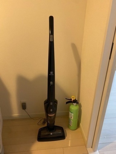 家電 生活家電 掃除機