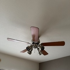 【急募格安】オーデリック　ODELIC　シーリングファン　5枚羽　茶木目