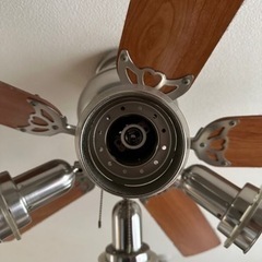 【急募格安】オーデリック　ODELIC　シーリングファン　5枚羽　茶木目