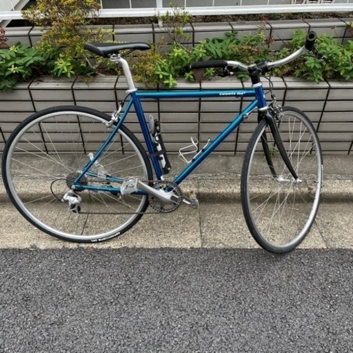 calamita due+ サイズ49
