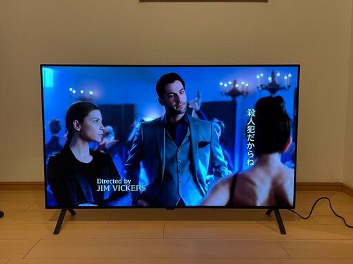 LG 有機EL テレビ 48型 4Kチューナー内蔵 OLED48A2PJA スマートテレビ Alexa 搭載 2022 年モデル