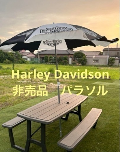 Harley Davidson ハーレーダビッドソン　非売品　パラソル　傘