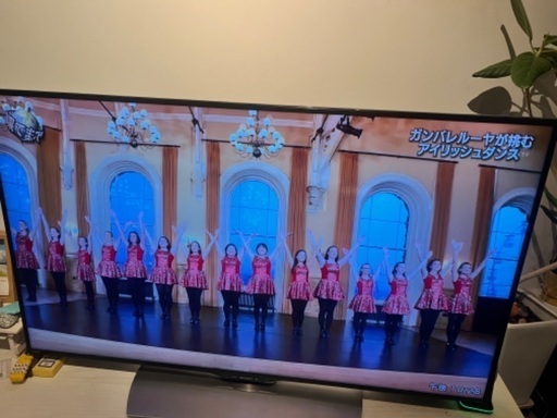 お譲り先決まりましたので、ポスト削除いたしました。皆様何度も