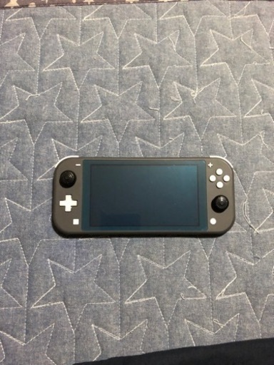 ニンテンドースイッチ　ライト　グレー
