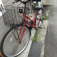 自転車『決まりました』