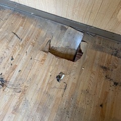 ●物置(大) 6/27引き取り限定●