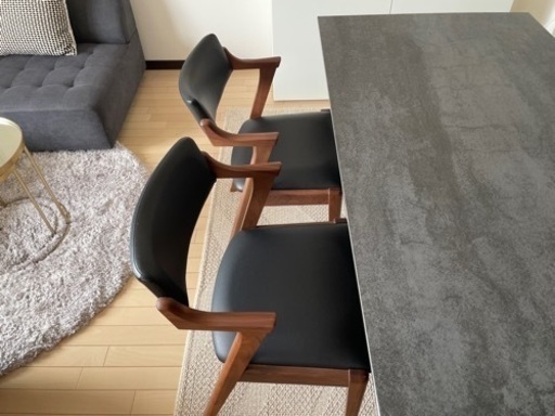 東京インテリア パンテス ダイニングチェア 2脚セット 美品 パンテス