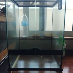 グラステラリウム