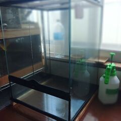 グラステラリウム