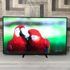 ①即日受渡❣️2年前購入JAPANNEXT 4K50型液晶モニター