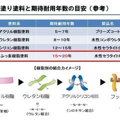 早いもの勝ち‼】最高級フッ素塗料【新品未使用】