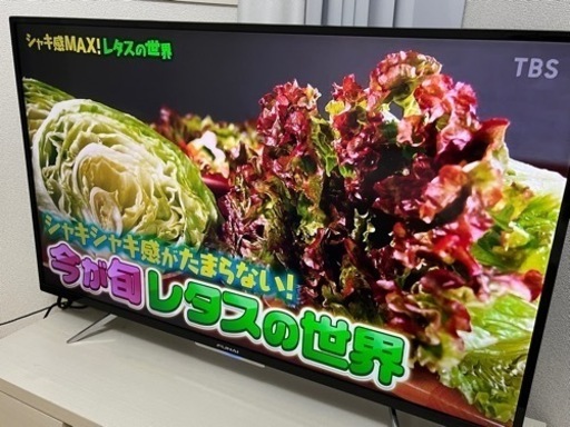 家電 テレビ 液晶テレビ