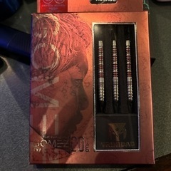 ダーツ　ゴメス14