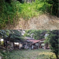 🉐お悩みの雑草狩ります🉐15000円〜