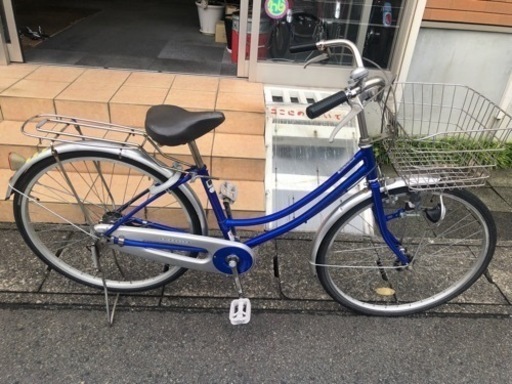 ループ260 BLU