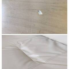 【愛品倶楽部柏店】 貞苅椅子製作所 ダイニング6点セット 肘付回転チェア キャスター付 コバルト