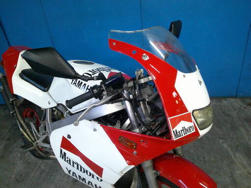 YAMAHA TZM50R 白/赤 自賠保険で乗れます 半額配送キャンペーン 期間 YAMAHA TZM50R 白/赤 自賠保険で乗れます 半額配送キャンペーン 期間
