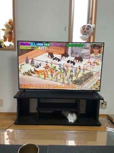 テレビ