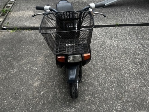 スカッシュ　49cc 6V