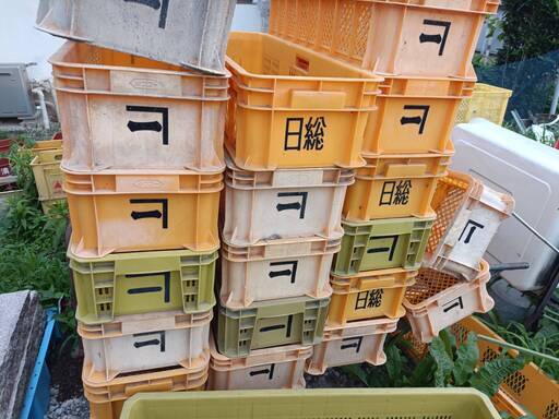 ばら売りOK 全55個　農業用コンテナ　長いもコンテナ　サンテナー プラスチックコンテナ　 B#55-2
