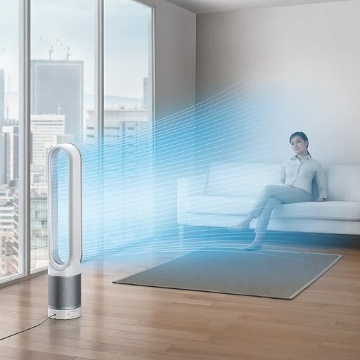 【美品】ダイソン 空気清浄機能付 タワーファン dyson Pure Cool Link AM11 ホワイト/シルバー