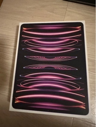 iPad pro 第6世代 256GB