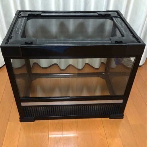 爬虫類　ゲージ　美品