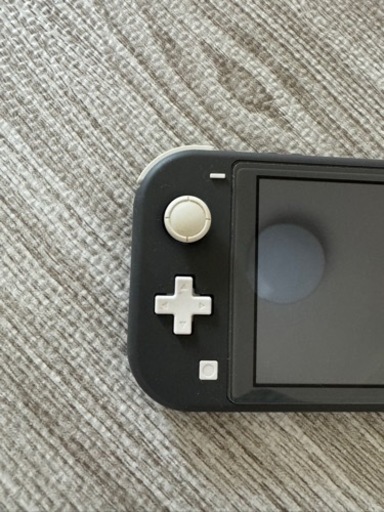 Nintendo Switchライト グレー本体&純正アダプタ Nintendo Switch Lite