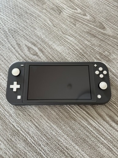Nintendo Switchライト　グレー本体\u0026純正アダプタ
