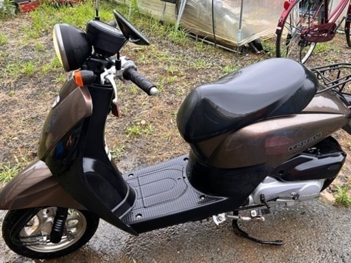 原付バイク HONDA TODAY AF67 走行距離5630キロ
