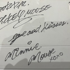 ミッキー、ミニーサイン入り　iPad Air