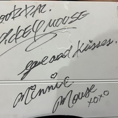 ミッキー、ミニーサイン入り　iPad Air