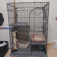 (決まりました)猫ゲージキャリーバッグセット