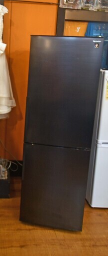●近郊格安配送(*'ω'*)●2023年購入　シャープ　310L　SJ-PD31H　2ドア冷蔵庫　中古品●相模原　横浜　神奈川●SHARP　2人暮らし