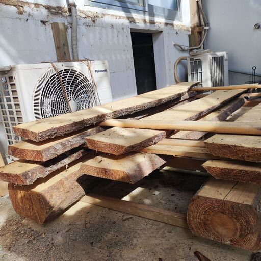 琉球松 乾燥済み - ガーデニング 