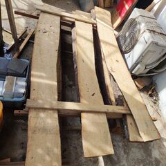 琉球松　乾燥済み