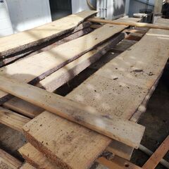 琉球松　乾燥済み