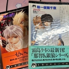 【ネット決済】那智&銀狼シリーズ2冊セット