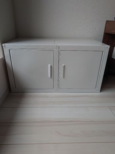 ★冷やし虫家★超美品★