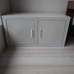 ☆冷やし虫家☆超美品☆