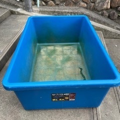 キヴォトス　ブルコンテナ400① キヴォトス ブルコンテナ400①