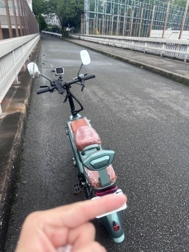 ペットと乗れる電動バイク(原付一種新車)