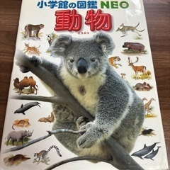 動物　図鑑