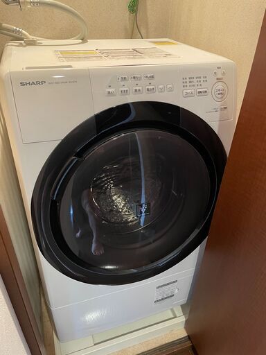 シャープ ドラム式 洗濯乾燥機（2023年製） 洗濯7kg/乾燥3.5kg ES-S7H-WR 右開き ホワイト系 幅640mm 奥行600mm
