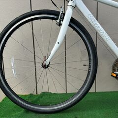 GIANT　60320