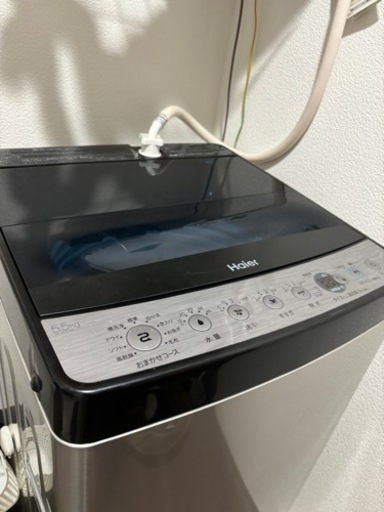 家電 生活家電 洗濯機